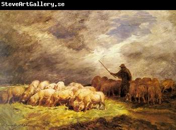 unknow artist Sheep 090